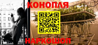 стафф Шебекино