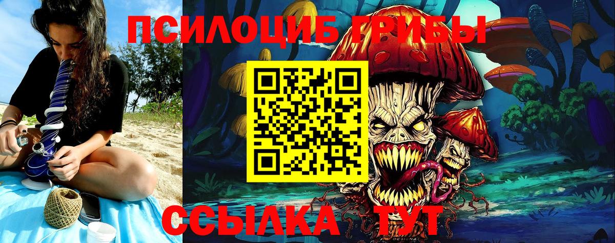 Галлюциногенные грибы Cubensis Чусовой